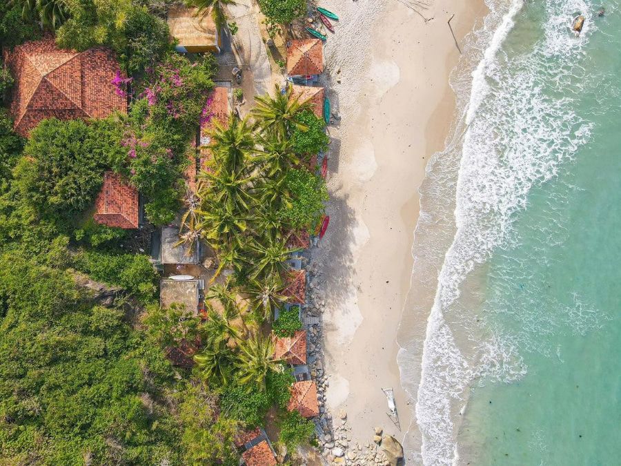 wild beach resort