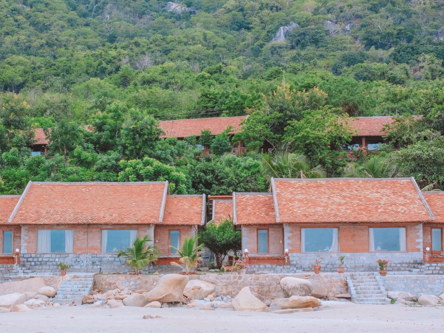 wild beach resort