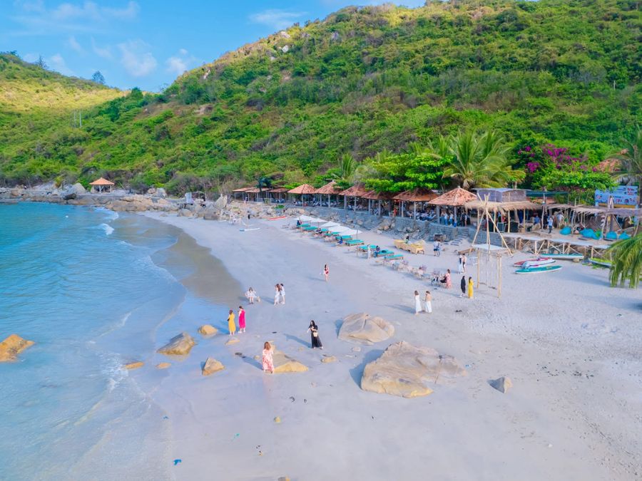 wild beach resort